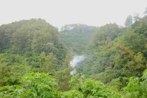 wisata alam dago bandung