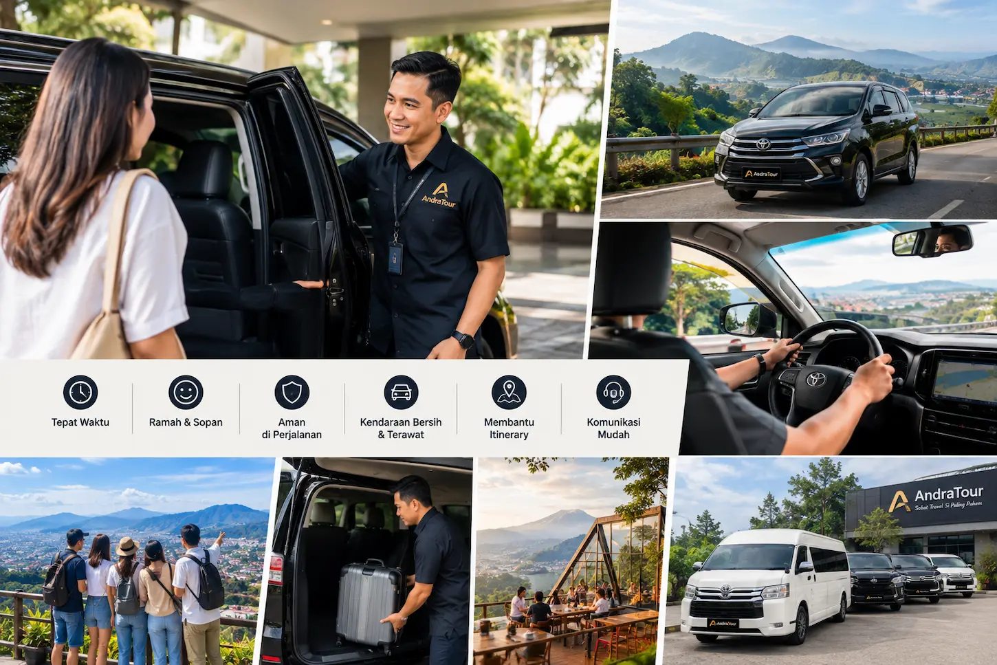 driver profesional